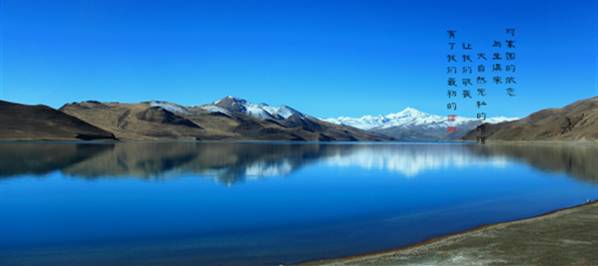 好但不会像你想象得那么糟既然选择了无论好