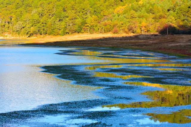 好但不会像你想象得那么糟既然选择了无论好的还是糟的请坚持下去！AG真人国际我的365天创业日记—创业永远不可能像你想象得那么(图2)