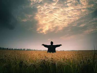 好但不会像你想象得那么糟既然选择了无论好的还是糟的请坚持下去！AG真人国际我的365天创业日记—创业永远不可能像你想象得那么(图5)