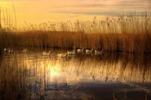 好但不会像你想象得那么糟既然选择了无论好的还是糟的请坚持下去！AG真人国际我的365天创业日记—创业永远不可能像你想象得那么(图13)