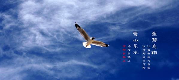 好但不会像你想象得那么糟既然选择了无论好的还是糟的请坚持下去！AG真人国际我的365天创业日记—创业永远不可能像你想象得那么(图6)